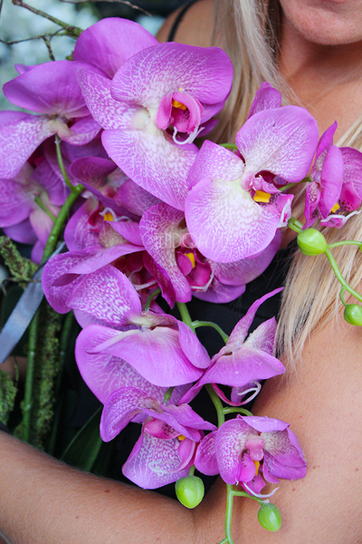 storczyk Asimetrio w białej donicy, wys.57cm