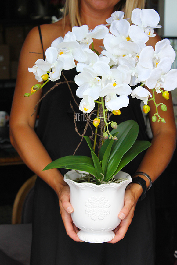 sztuczny storczyk w pięknej donicy Paloma, wys.55cm