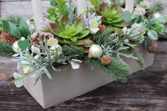 bożonarodzeniowy stroik / kompozycja z Sukulentami wys.35x46x25cm 