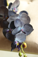 gałązka kwiatowa, sztuczny storczyk / orchidea Granat, 1 szt, dł.86cm