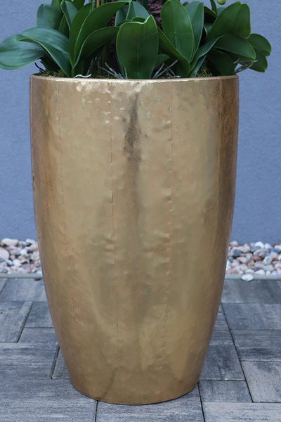 bardzo elegancki storczyk Złota Bajka, wys.140cm