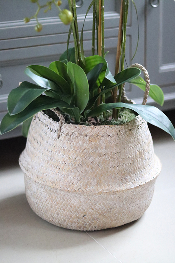 Georgia Big, efektowny storczyk w koszu z trawy, wys.86cm