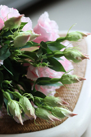 bukiet eustomy na piku, róż, 12szt. dł.47cm