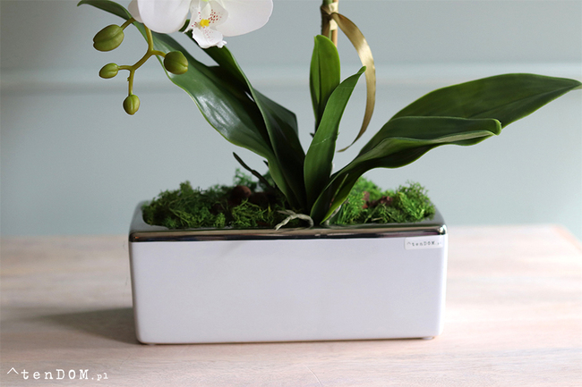 Banerra Bossa, sztuczny storczyk w biało-srebrnej donicy, wys.55cm