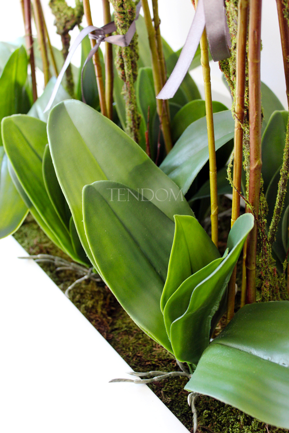 bardzo duży storczyk Hotel Design White Grande w donicy, wys.105cm 