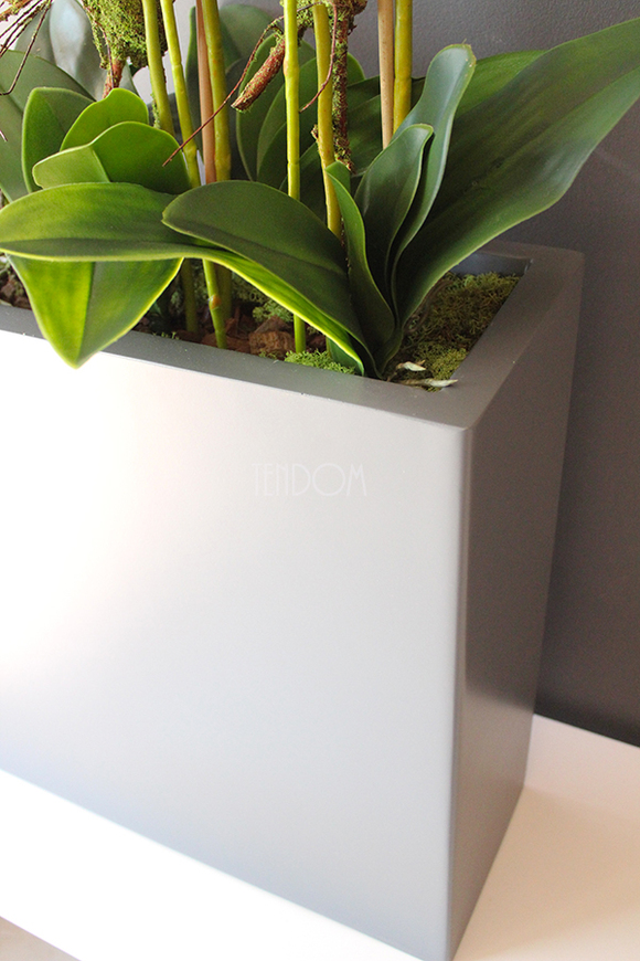 duży storczyk Marco Grande Grey, wys.120cm 