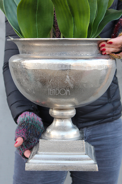 bardzo duży storczyk w eleganckim aluminiowym pucharze Rezydencja, wys.85cm