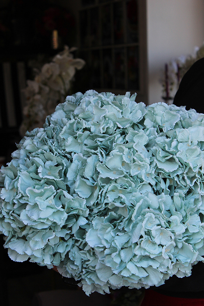 bukiet niebieskich hortensji Horton 10szt., wys.50cm