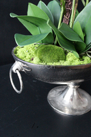 sztuczne, omszałe kamienie płaskie 6 szt w paczce