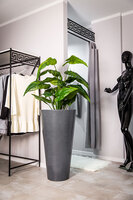 Della donica ciemny marmurek z wewnętrzną półką 49x90cm