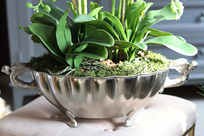 ekskluzywny storczyk Luksus Biel w metalowej donicy, wys.65cm