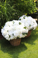 bardzo bogaty kosz hortensji, New Provance, wym.48x50cm  