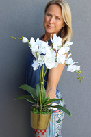 Golden Ramoneo, storczyk w złotej donicy, wys.50cm