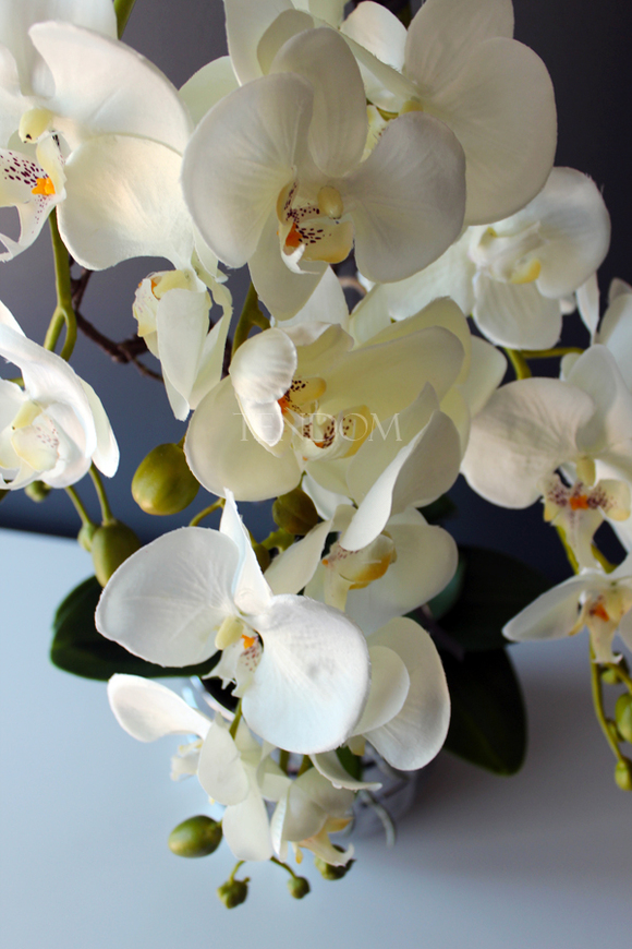 sztuczny storczyk Pandora w srebrnej donicy, wys.63cm