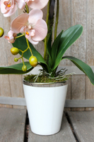 sztuczny storczyk Weranda w kolorze szampana, wys.60cm