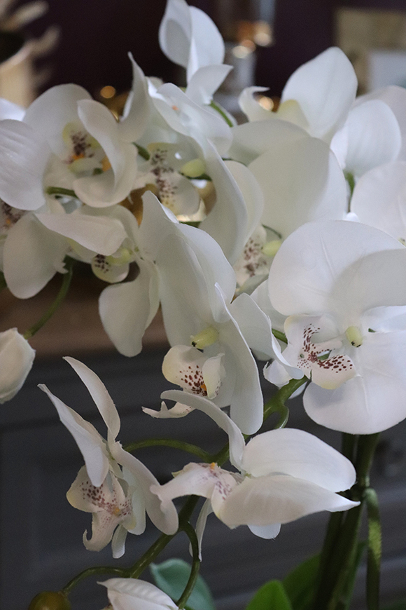 Hemina New, sztuczny storczyk w lustrzanej donicy, wys.50cm 