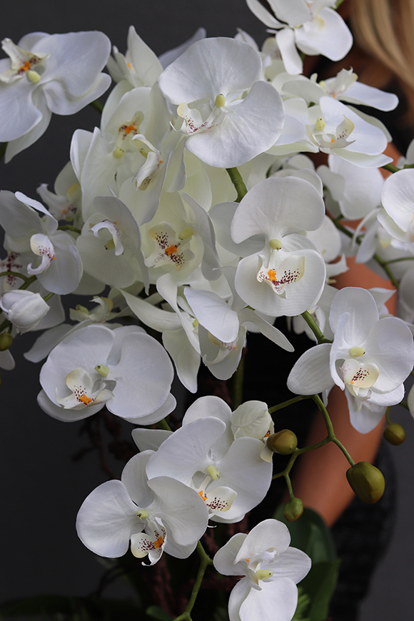 Gelane Fiberglass, duży storczyk z sukulentami, wys.97cm