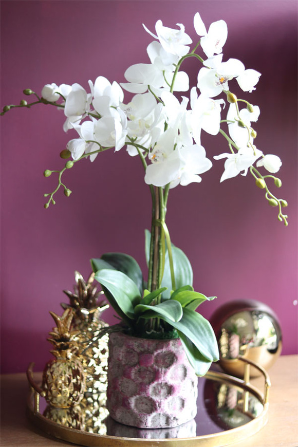 Germina, efektowny storczyk w różowej donicy, wys.67cm