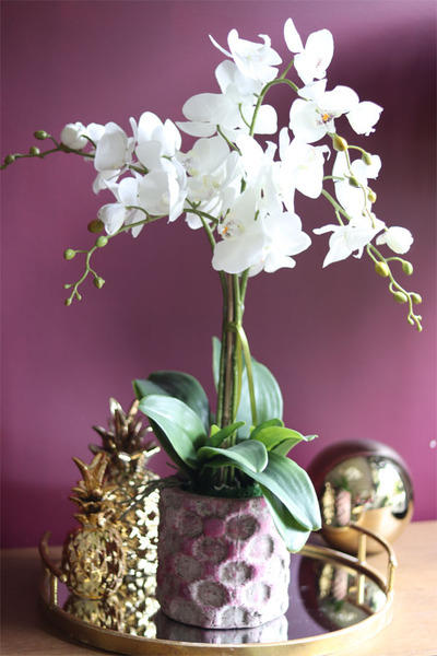 Germina, efektowny storczyk w różowej donicy, wys.67cm