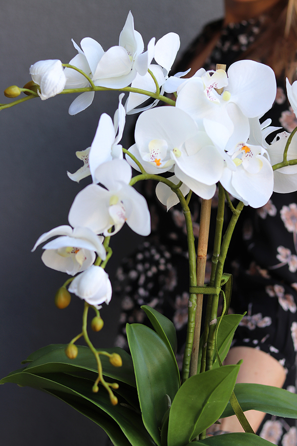 Tellonea, sztuczny storczyk w złotej donicy, wys.57cm