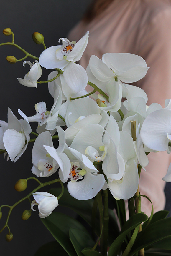 Limena, sztuczny storczyk w ceramicznej ażurowej donicy, wys.50cm