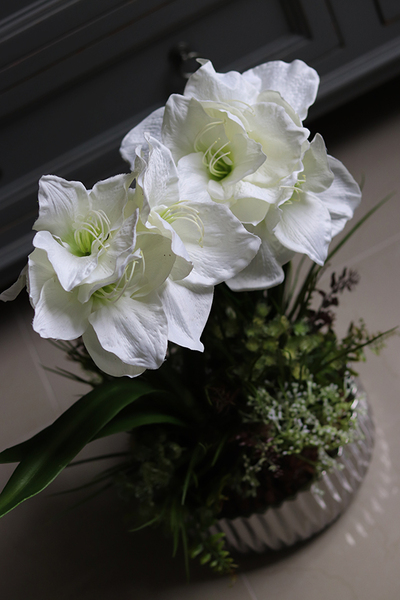 Białe Amarylisy Spring, kompozycja w lustrzanej misie, wys.54cm