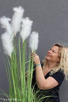 Delano New, kompozycja w białej donicy z trawami,wym.185cm