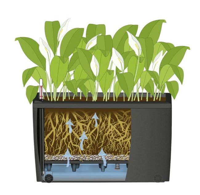 Cararo, donica na kółkach z nawadnianiem, taupe, wym.43x75x30cm