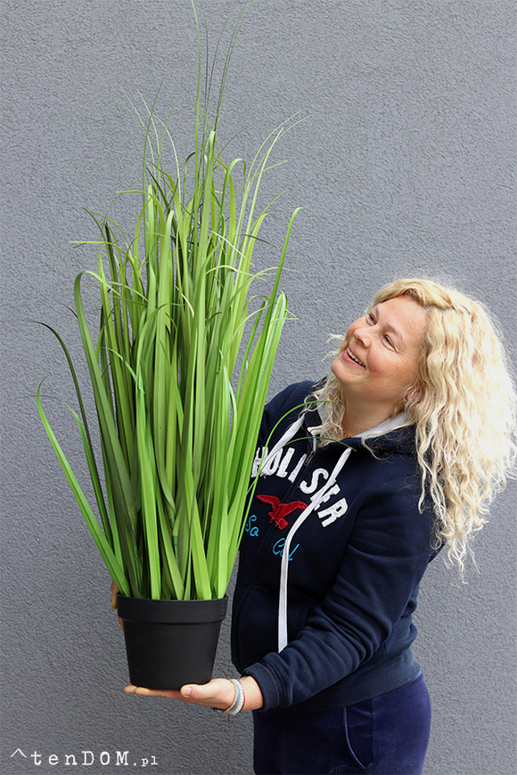 Moris New, wysoka sztuczna trawa, 1szt, wys.110cm