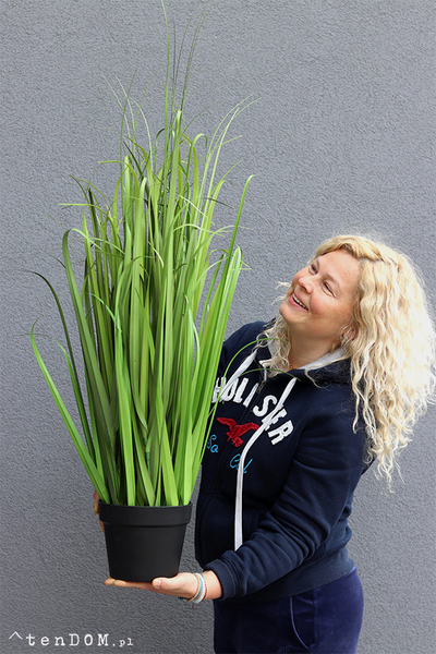 Moris New, wysoka sztuczna trawa, 1szt, wys.110cm 