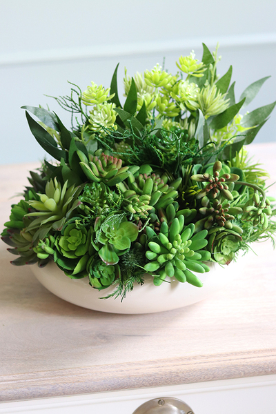 Gerrano 3, kompozycja sukulenty w białej misie, wym.27x30cm 