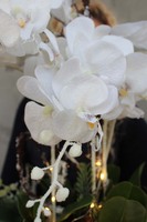 Glamour Winter, zimowy storczyk w białej eleganckiej donicy, wys.64cm
