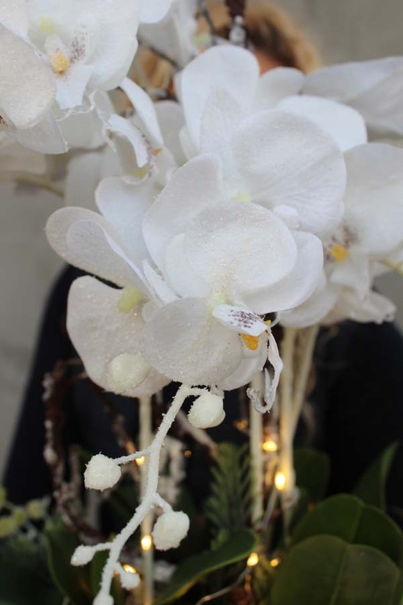 Glamour Winter, zimowy storczyk w białej eleganckiej donicy, wys.64cm