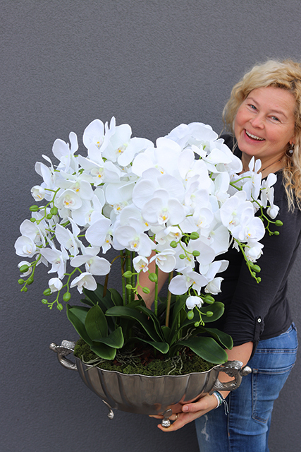 ekskluzywny storczyk Luksus Biel w metalowej donicy, wys.65cm