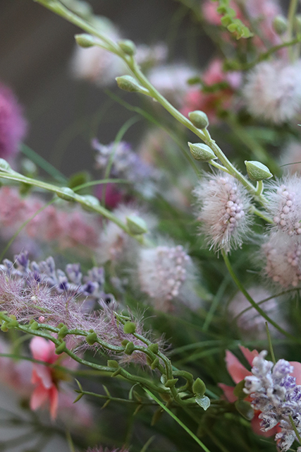 Salvatore Pink, wiosenna kompozycja traw i polnych kwiatów, wys.50cm