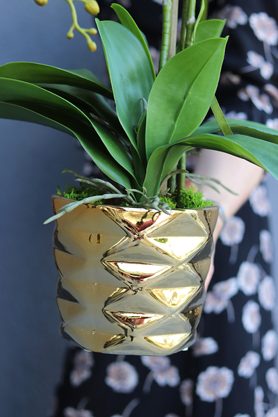 Tellonea, sztuczny storczyk w złotej donicy, wys.57cm