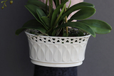 Limena, sztuczny storczyk w ceramicznej ażurowej donicy, wys.50cm