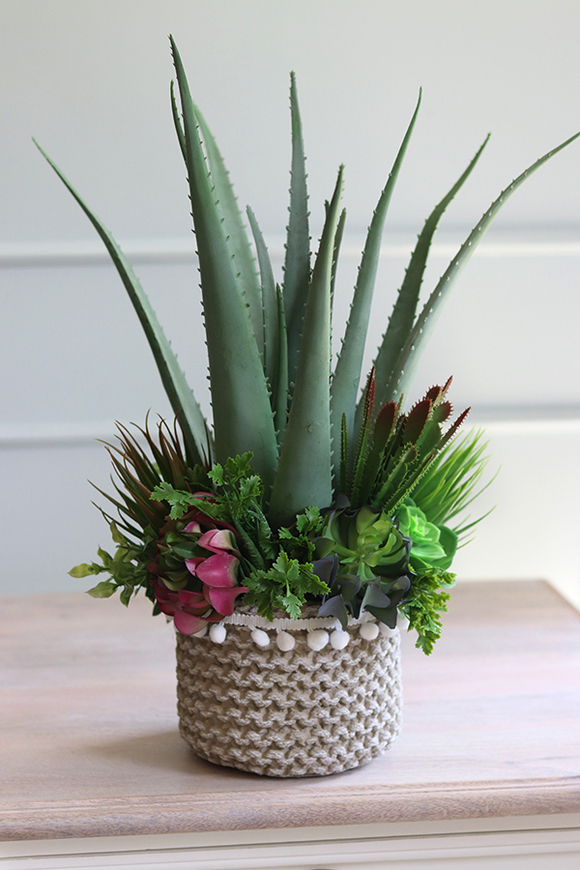 Boho Aloe Basket, kompozycja sukulenty w donicy - koszu, wys.51cm 