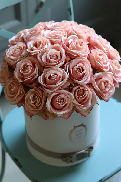 Benita, flowerbox różany z szarą aksamitką, wys.38cm 