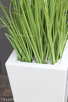 Delano New, kompozycja w białej donicy z trawami,wym.185cm