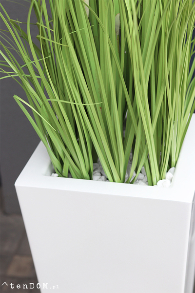 Delano New, kompozycja w białej donicy z trawami,wym.185cm