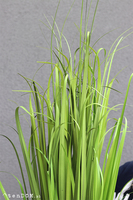Moris New, wysoka sztuczna trawa, 1szt, wys.110cm
