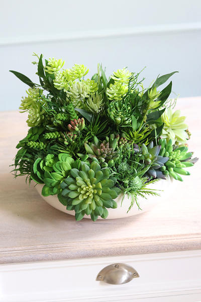Gerrano 3, kompozycja sukulenty w białej misie, wym.27x30cm