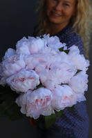 Aura, bukiet jasnoróżowych peonii wys.38cm