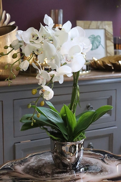 Hemina New, sztuczny storczyk w lustrzanej donicy, wys.50cm 