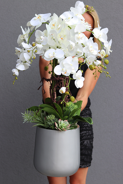 Gelane Fiberglass, duży storczyk z sukulentami, wys.97cm