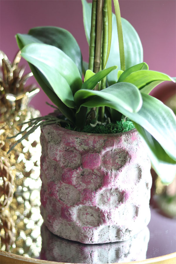 Germina, efektowny storczyk w różowej donicy, wys.67cm