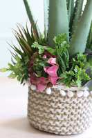 Boho Aloe Basket, kompozycja sukulenty w donicy - koszu, wys.51cm