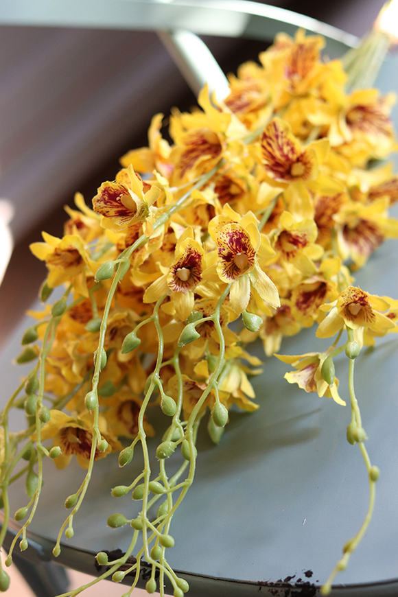 bukiet tajskiej orchidei, Multikolor, żółta, 12szt, dł.67cm 