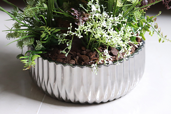 Białe Amarylisy Spring, kompozycja w lustrzanej misie, wys.54cm